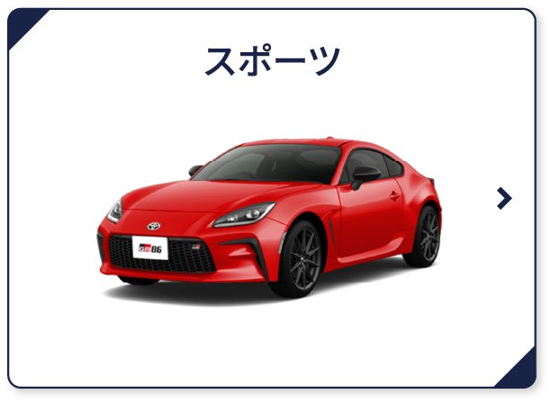 スポーツ